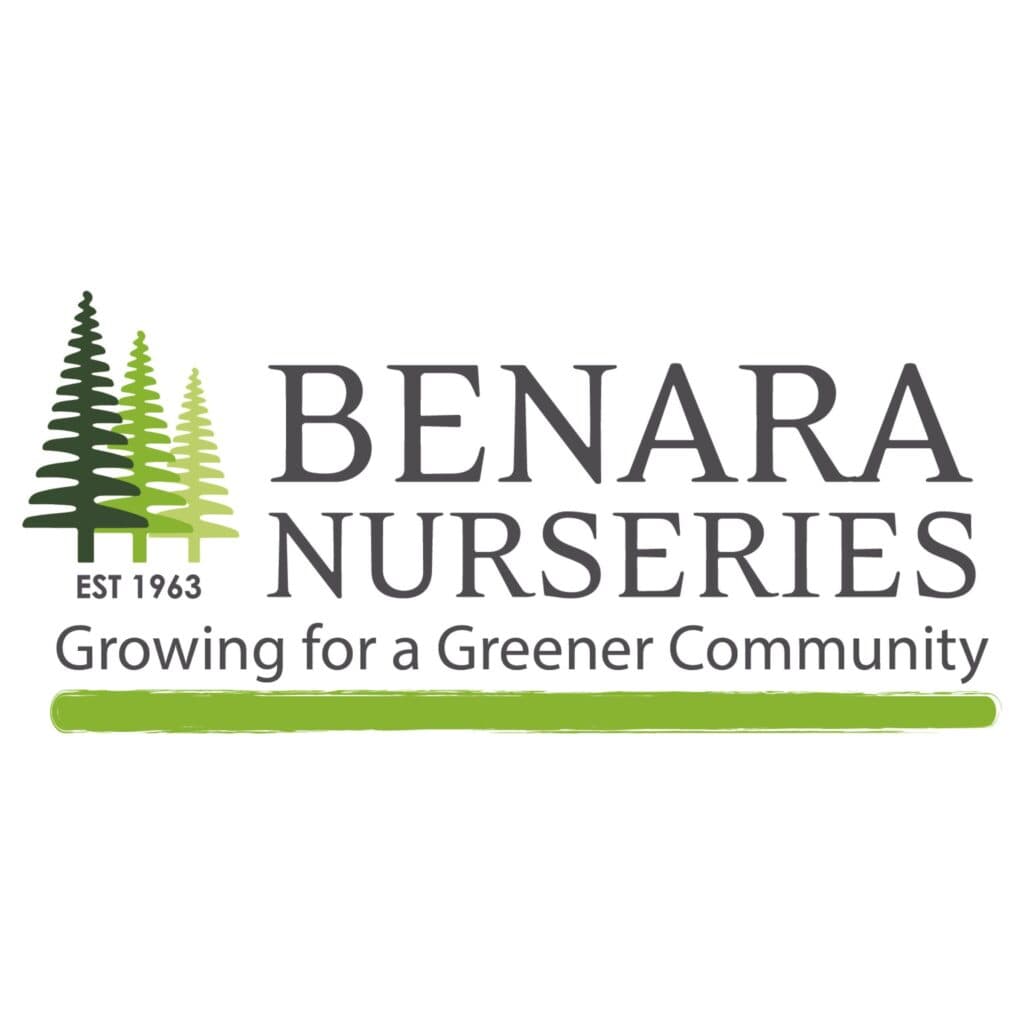 Image for Benara Nurseries 